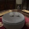 Earing 0023 1