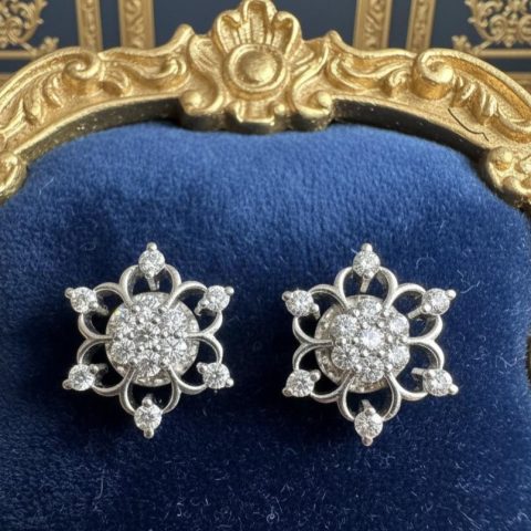 Earing 0027