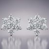Earing 0047