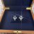 Earring 0011a